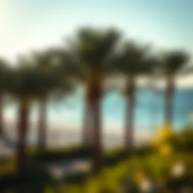Serene Beachside Lifestyle Serene beachside lifestyle with palm trees and clear blue waters