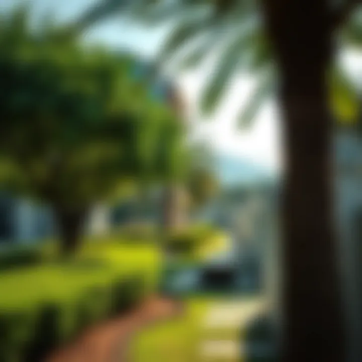 Green Spaces in Oud Metha Neighborhood Lush green park nearby residential apartments