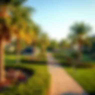 Tranquil green spaces and parks in Damac Hills