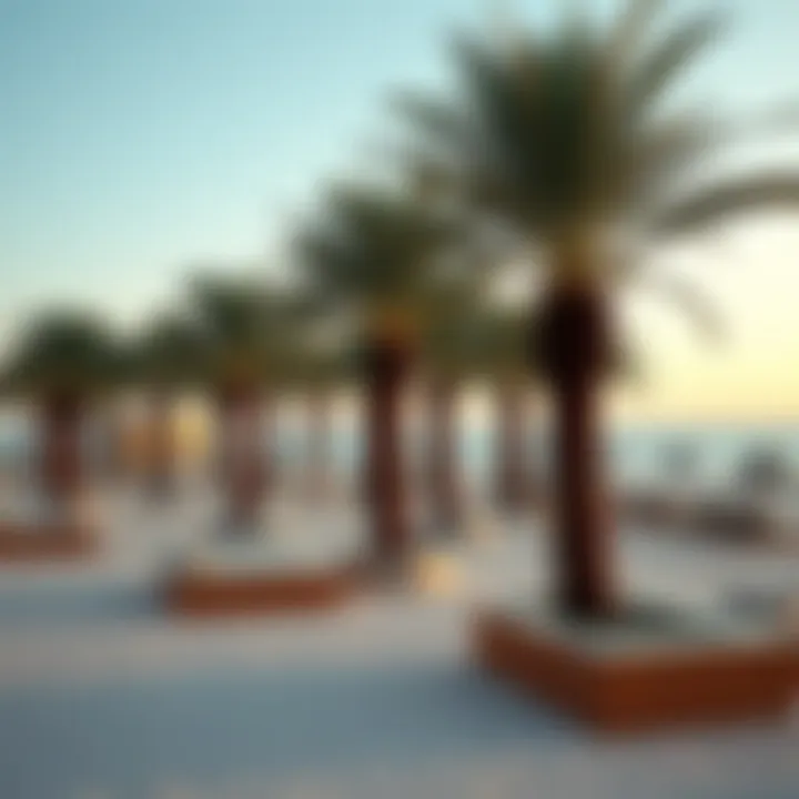 A picturesque beachside venue with sun loungers and palm trees