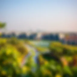 Aerial view of Park Field showcasing lush greenery and modern architecture