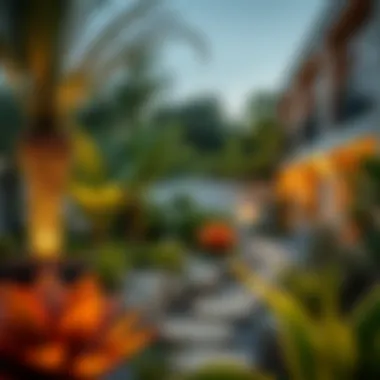 Innovative Garden Design Unique landscape design showcasing various plant species