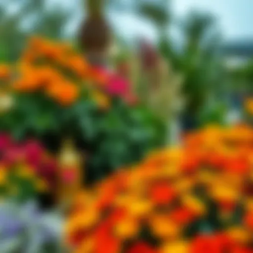 Vibrant floral arrangements in Dubai's garden