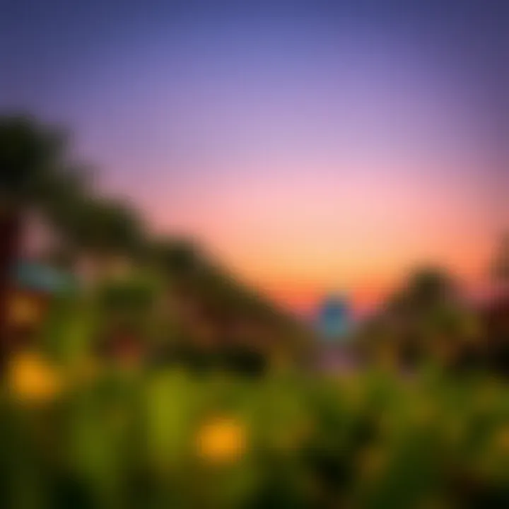 Enchanting Evening Ambiance Evening ambiance at Dubai Garden Glow