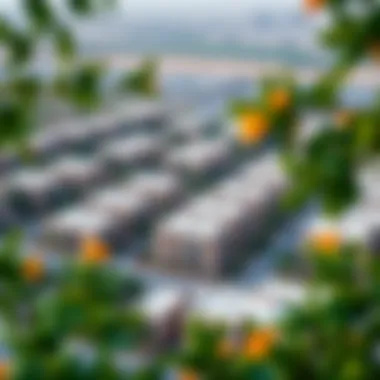 Aerial view of Flora Al Warqa showcasing residential architecture and greenery