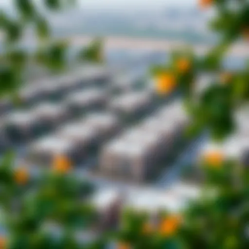 Aerial view of Flora Al Warqa showcasing residential architecture and greenery