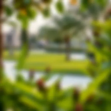 Family-Friendly Parks in Mudon Family-friendly parks and recreational areas in Mudon