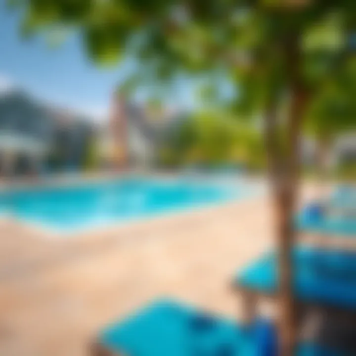 Community Amenities in Mulberry Park Heights Community amenities including a pool and park area in Mulberry Park Heights