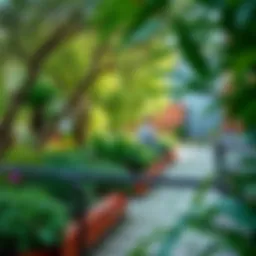 A vibrant communal garden space in Discovery Gardens showcasing lush greenery and well-maintained pathways.