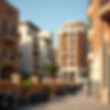 Diverse Housing Typologies of Dubai Housing Typologies in Dubai