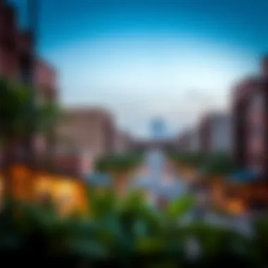 Vibrant Community Surrounding Lincoln Park Damac Vibrant community life surrounding Lincoln Park Damac