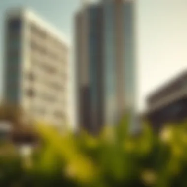 Investment Insights in Lincoln Park Damac Investment opportunities within Lincoln Park Damac