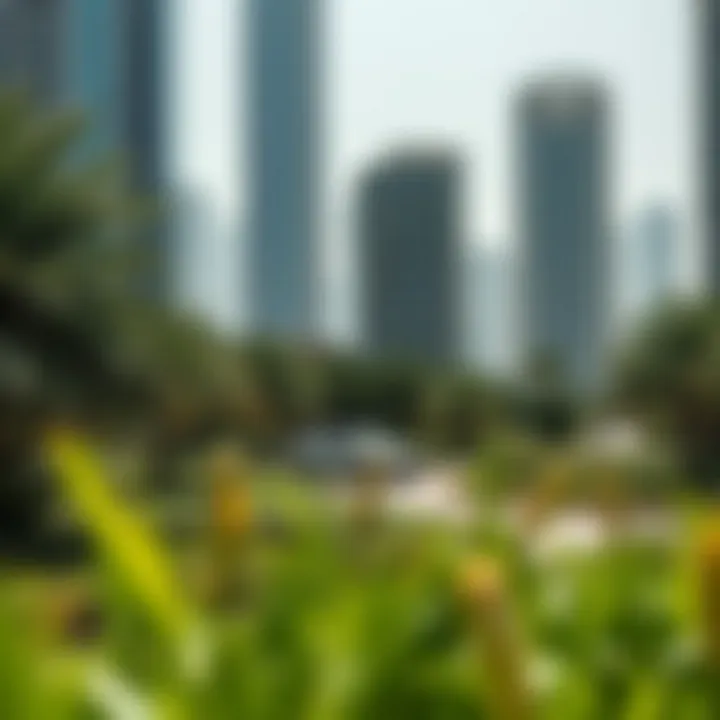 Environmental Considerations in Dubai Green spaces and environmental considerations in Dubai's urban landscape